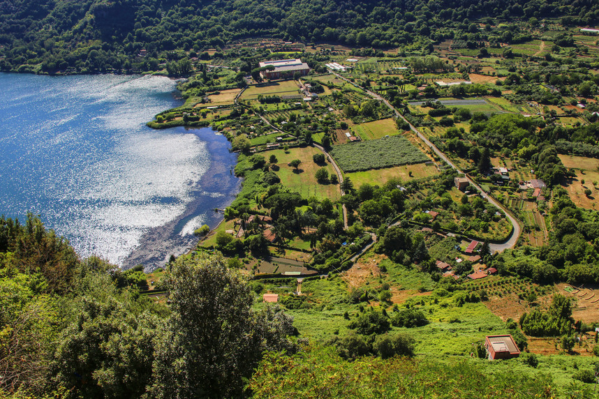 5 choses que vous ne saviez (peut-être) pas sur le Castelli Romani Bianco DOC 5 choses que vous ne saviez (peut-être) pas sur le Castelli Romani Bianco DOC